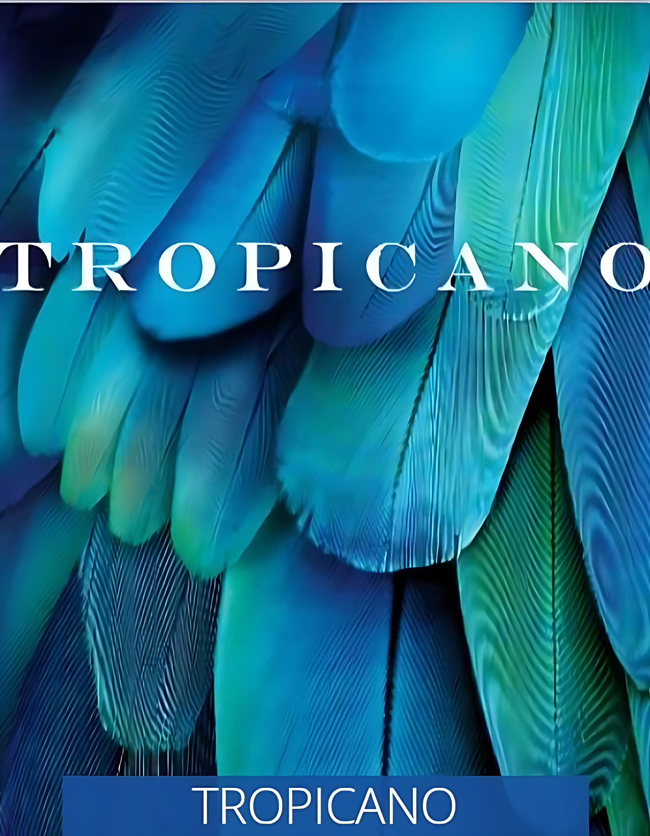 Tropicano collection